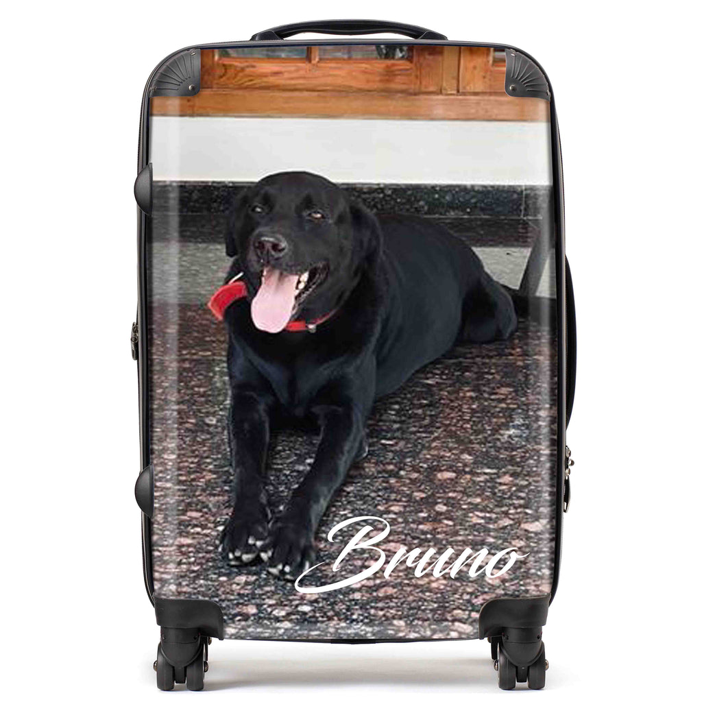 Custom Suitcase For Bruno