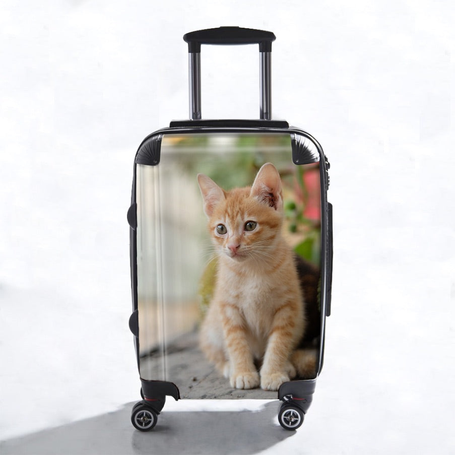 Upload Your Cat Photo Suitcase